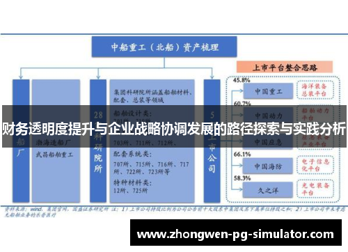 财务透明度提升与企业战略协调发展的路径探索与实践分析 财务透明度提升与企业战略协调发展的路径探索与实践分析