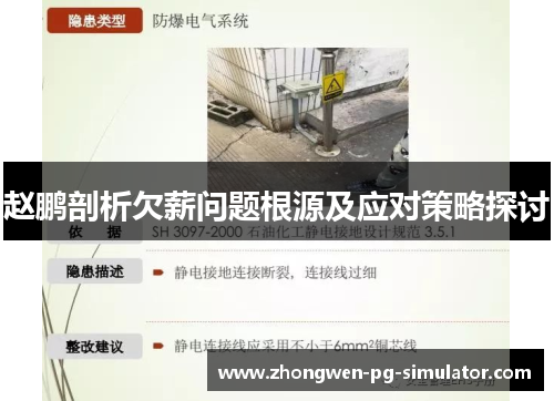 赵鹏剖析欠薪问题根源及应对策略探讨 赵鹏剖析欠薪问题根源及应对策略探讨